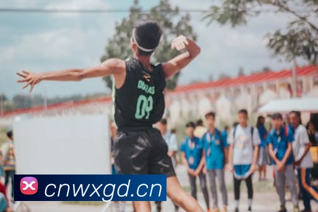 App Interface Preview